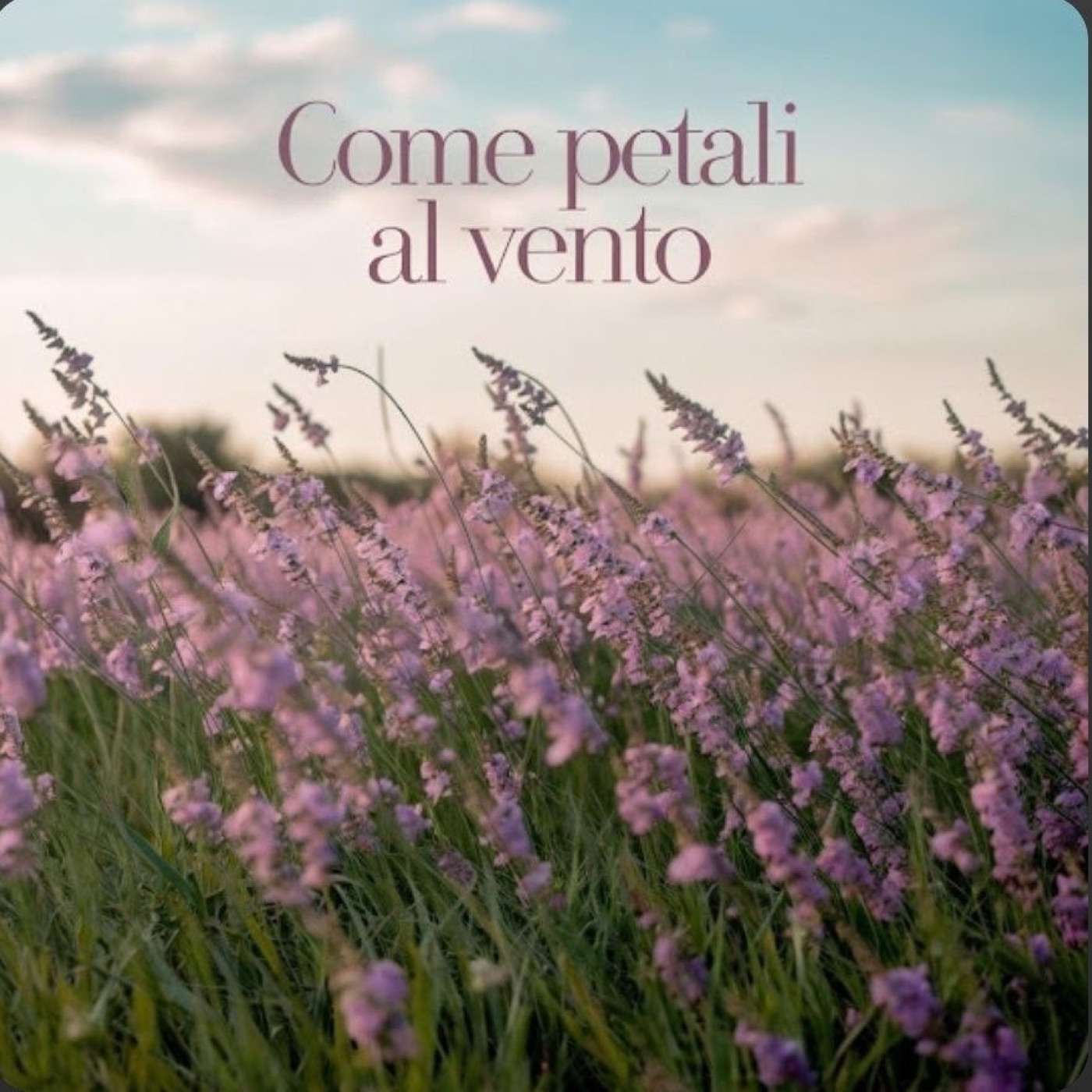 Copertina di COME PETALI AL VENTO